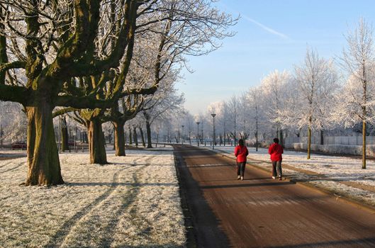 Women jogging in the morning in a wintry park