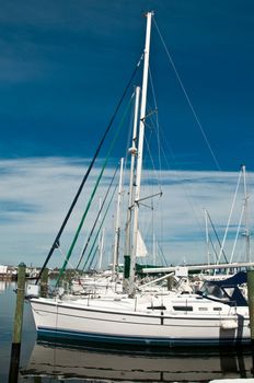 Row of sailboats moored at Bradenton, Florida