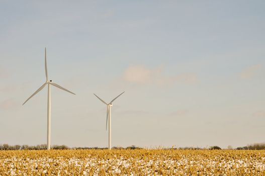 Indiana Wind Turbines in a field - background 2