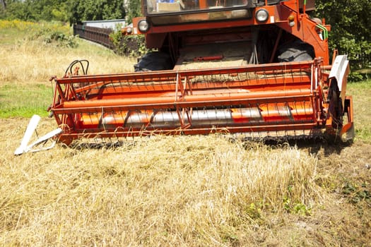 Big red harvester cuts the mature seeds of grain