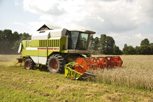 Big green harvester cuts the mature seeds of grain