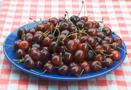 a plateful of sweet cherries on a table coverev with checkered buckram