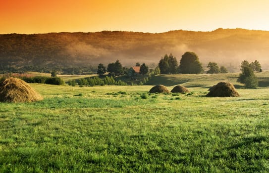 bright sunrise  in the village in summer time