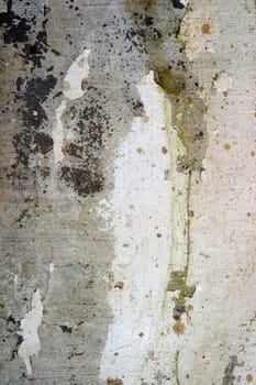 Full screen high resolution shot of old wall. Good for a texture or a background.