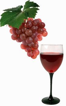 Picture with red grape and vine