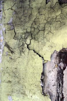Full screen high resolution shot of wall. Good for a texture or a background.