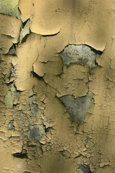 Full screen high resolution shot of old wall. Good for a texture or a background.