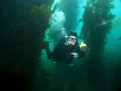 Underwater Photographer swimming through the Kelp in Catalina