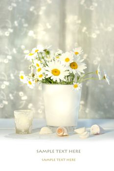 Little white daisies and seashells with white lace curtains 
