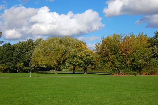 green trees of a park at summer or autumn under blue sky