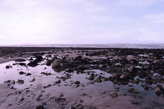 sea weed covered rocks on beale beach co kerry ireland on a cold winters day