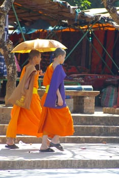 Two buddhist monks walking along a street