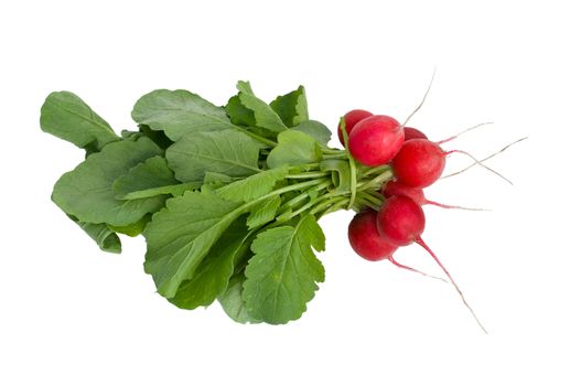 a bunch of red radish with leaves, isolated on white