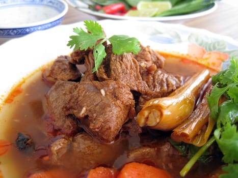 close up for a plate of beef stewed