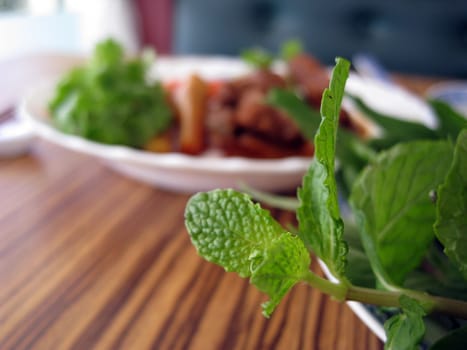 close up view for a mint herbs leaves with a blur food background