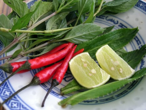 close up for chilis , limes and herbs