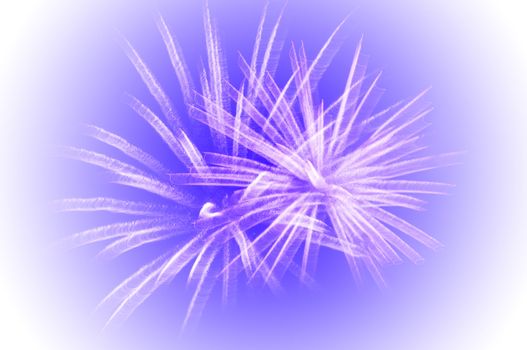 Abstract image of the explosion - fireworks