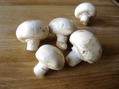 raw mushroom. vegetarian cuisine.