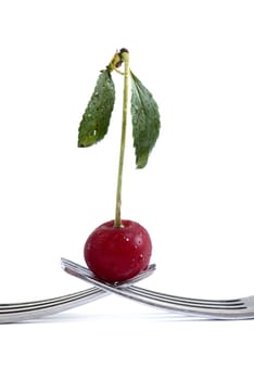 wet cherry with two fork over white background