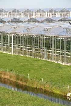 Agricultural greenhouses in the Netherlands