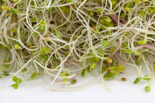 broccoli, clover and radish sprouts with water droplets on white background