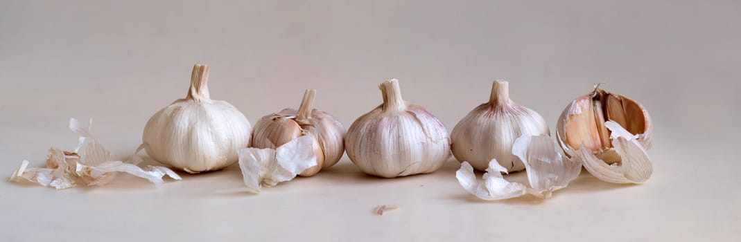 Garlic on light with soft shadow