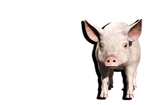 A simple image of a pink farm pig.