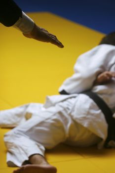 Judo referee signalling for a win - selective focus and visible grain