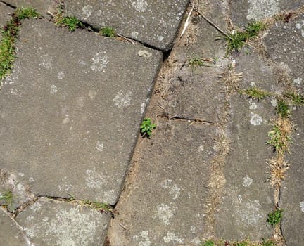 A image of a set of pavement slabs on the ground it would make an interesting texture background.