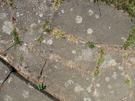 A image of a set of pavement slabs on the ground it would make an interesting texture background.