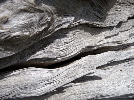 A abstract close up photograph of the wood from a dead tree.