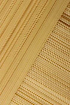 Fresh spaghetti lined up and overlapping at a perfect angle