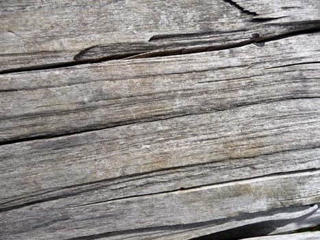 A abstract close up photograph of the wood from a dead tree.