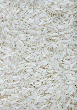 Macro background of white rice