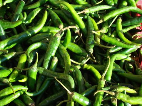 Green jalapino Peppers