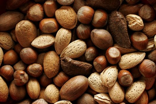 Food background with various sorts of nuts