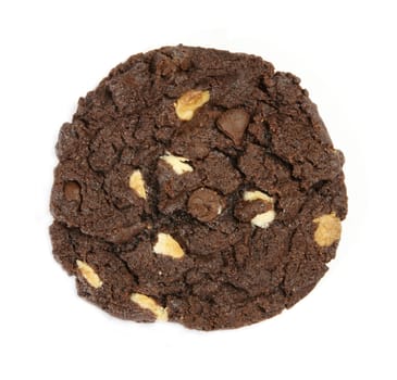 Delicious choclated chips cookie isolated on white background