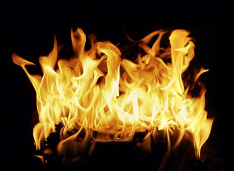 Beautiful stop-motion photo of a burning log in a fireplace