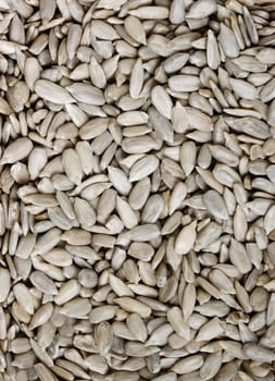 Macro background image of a sunflower seeds - one of the healthiest snack you can eat