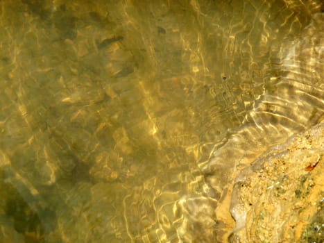 A photograph taken at the vantage point of looking down at the surface of some water.