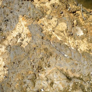 A abstract close up photograph of a bank of mud next to the water edge of a lake.