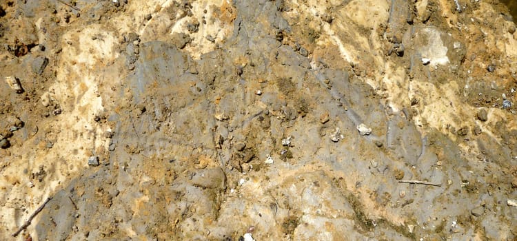 A abstract close up photograph of a bank of mud next to the water edge of a lake.