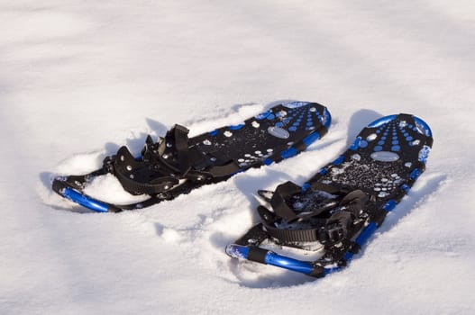 High resolution photo of a pair of snow rackets.