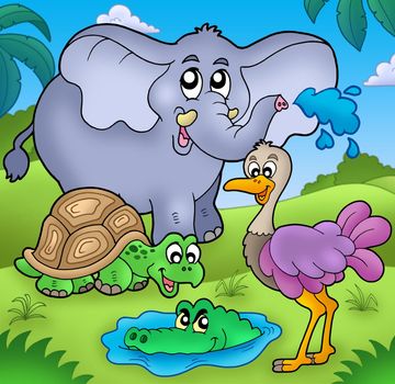 Group of various tropical animals - color illustration.
