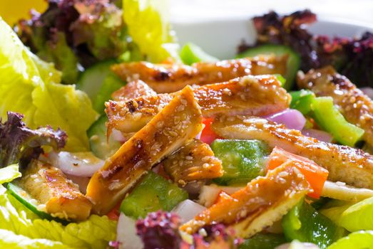 fresh colorfull sesame chicken salad close up