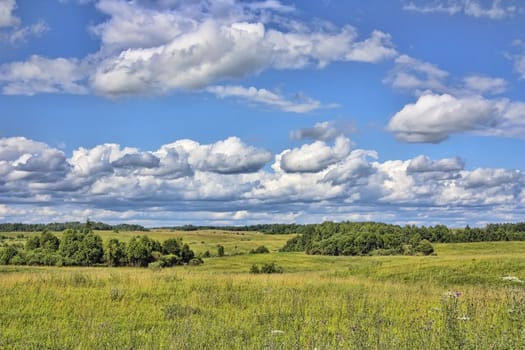 summer landscape