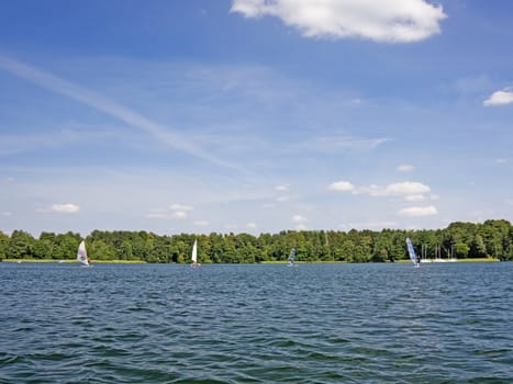 windsurfing on the lake