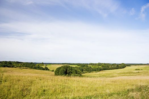 summer landscape