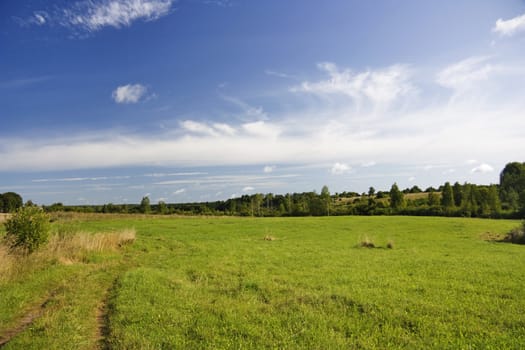 summer landscape