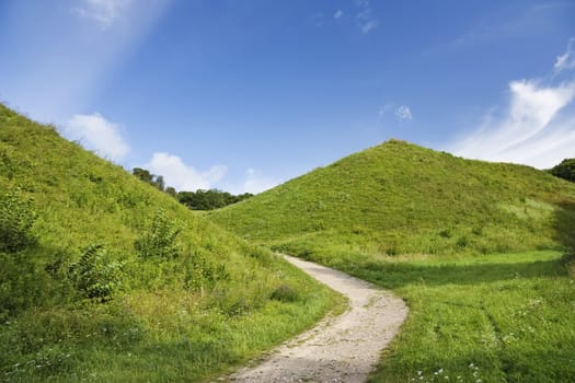 green hill, summer